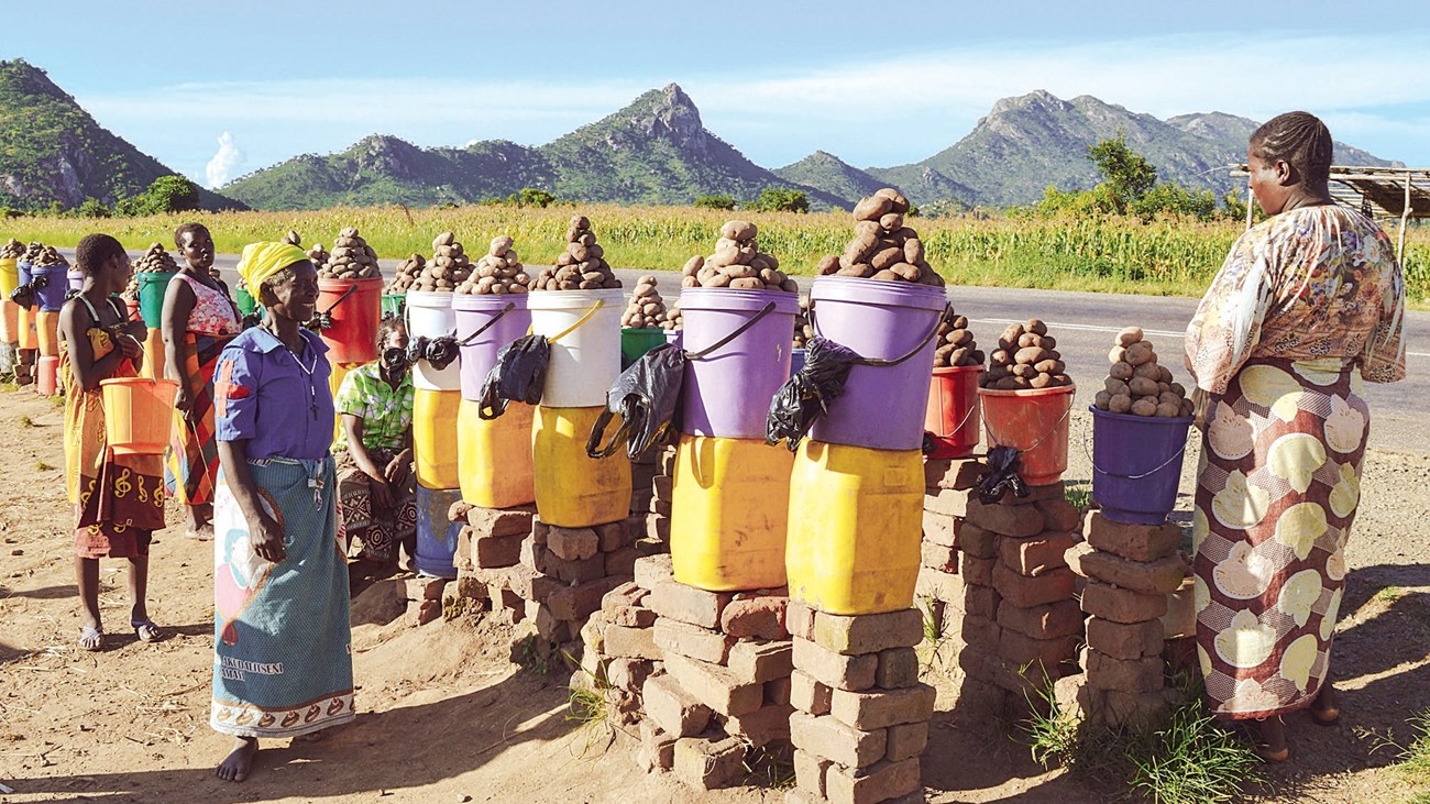 «نماء» تطلق مشروعاً لريادة الأعمال الزراعية لـ 900 امرأة في مالاوي